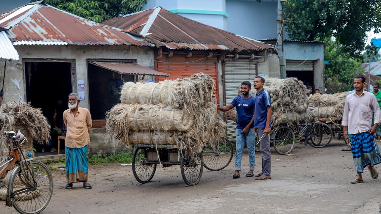 নড়াইলে পাটের দামে বড় পতন, মণপ্রতি কমল হাজার টাকা