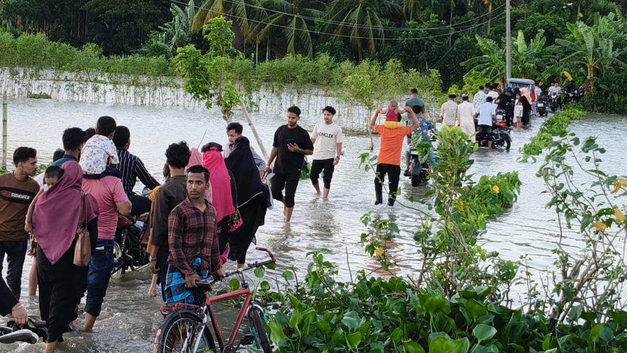 মাছবাজার থেকে পর্যটন কেন্দ্রে রূপান্তর: আকর্ষণের কেন্দ্রবিন্দু সাজু মোল্লার ঘাট