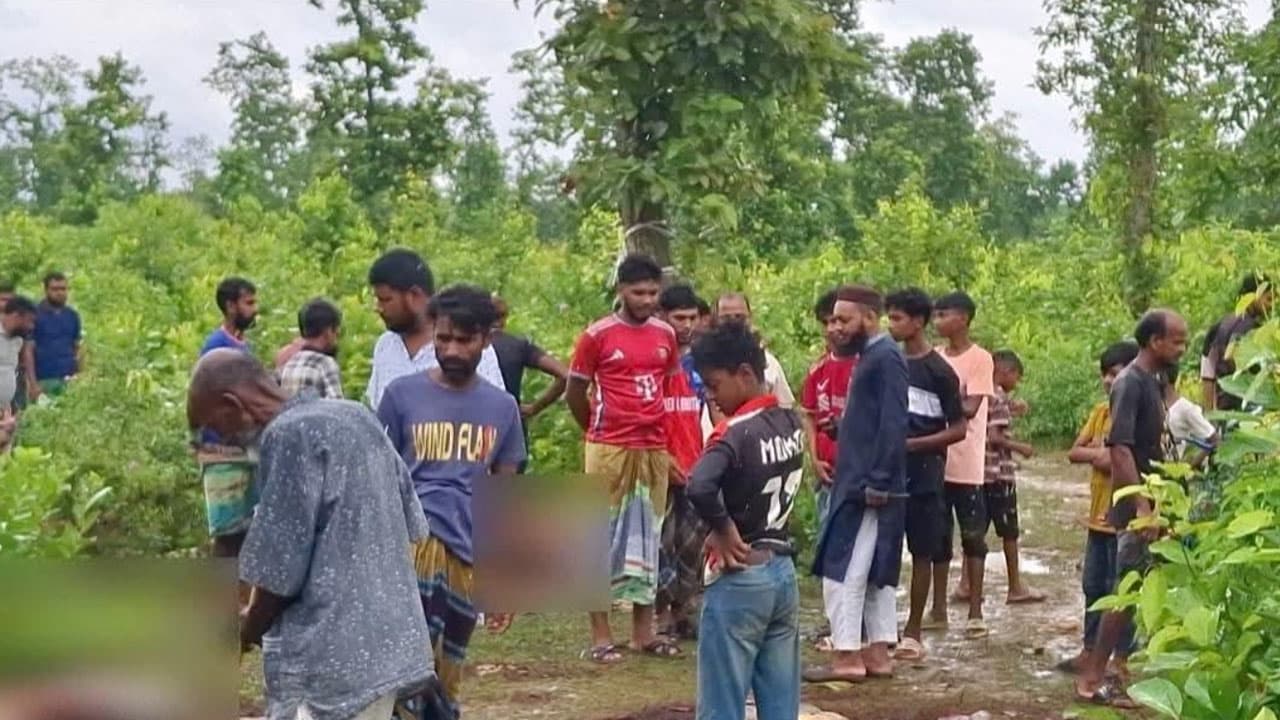 শ্রীপুরের জঙ্গলে ১২টি ঘোড়ার দেহাবশেষ উদ্ধার, মাংস নিয়ে রহস্যজনক অন্তর্ধান