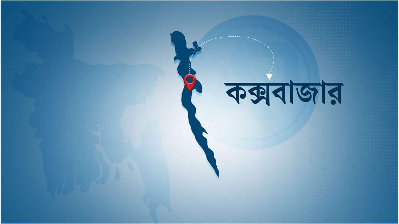 চকরিয়ায় গাছের ডাল কাটতে গিয়ে বিদ্যুৎস্পৃষ্ট হয়ে গৃহবধূর মৃত্যু
