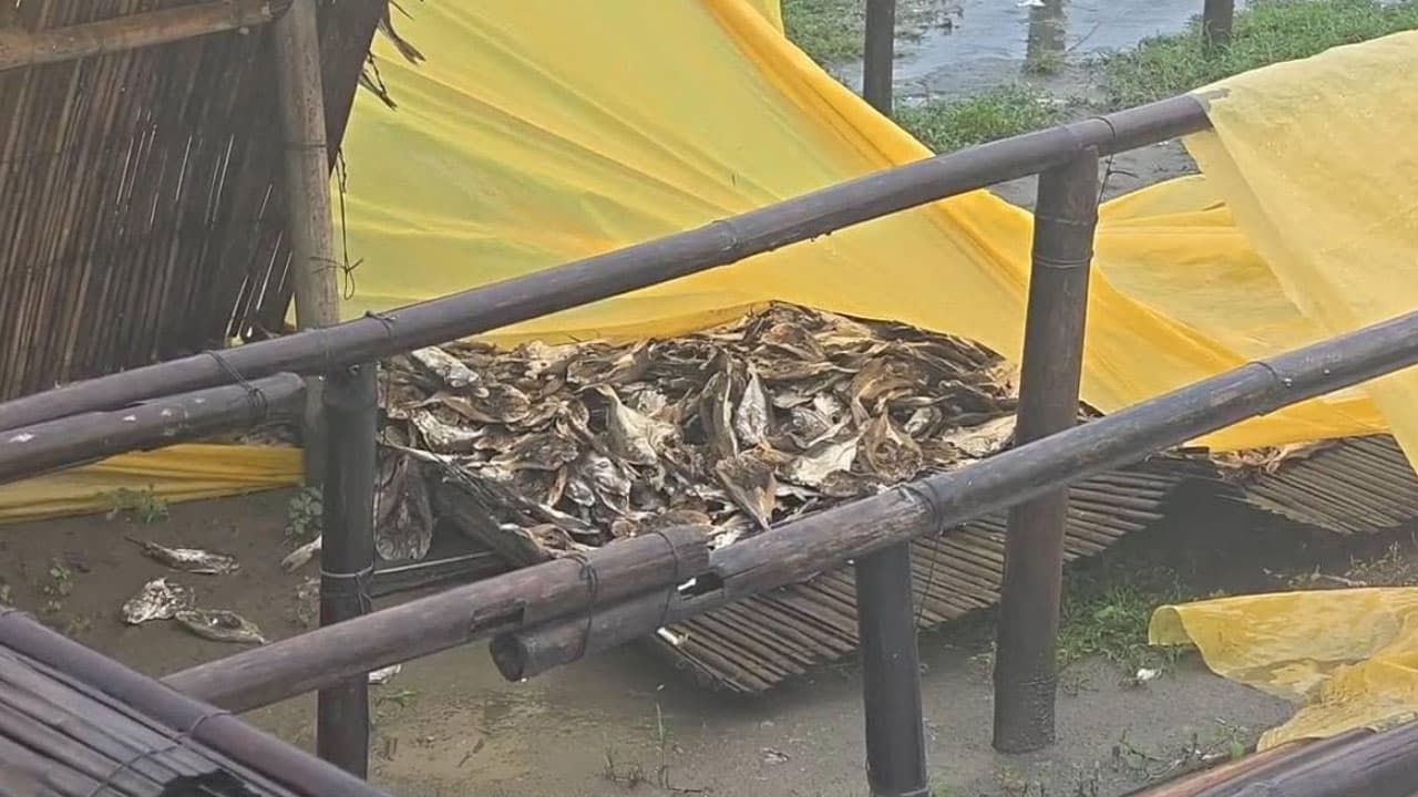 নাজিরারটেক শুঁটকি মহালে ঝড়ো হাওয়ার তাণ্ডব, কোটি টাকার ক্ষয়ক্ষতি