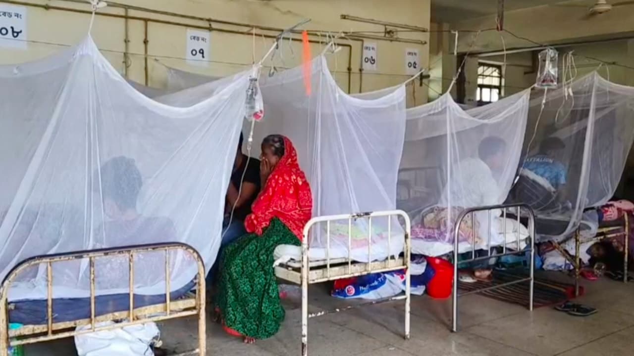 ২৪ ঘণ্টায় ডেঙ্গুতে আরও ৩ মৃত্যু, হাসপাতালে ভর্তি ৭৫৩