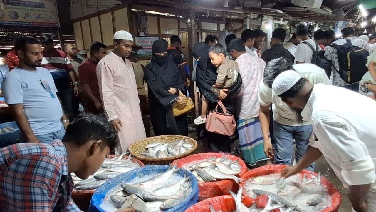 চাঁদপুরে ইলিশের দাম কমায় ক্রেতাদের ভিড়