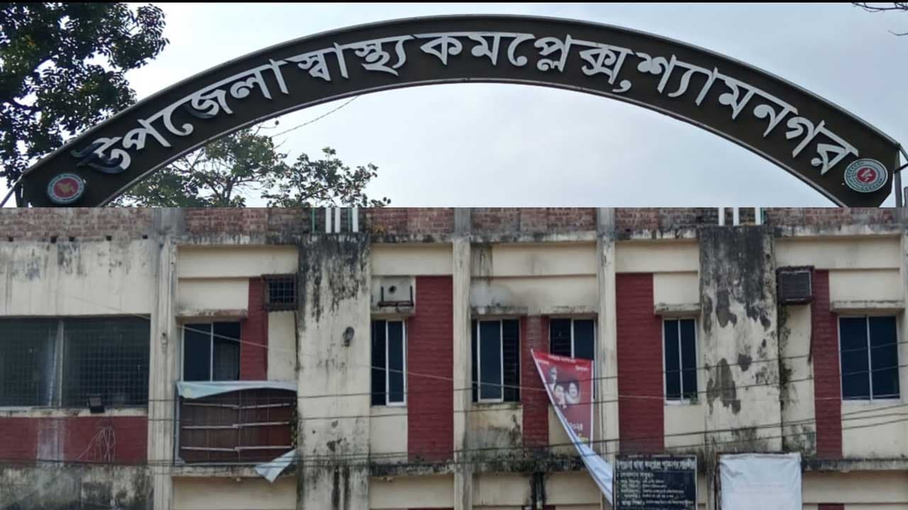 সাতক্ষীরায় সাপের কামড়ে ৩ বছরের শিশুর মৃত্যু