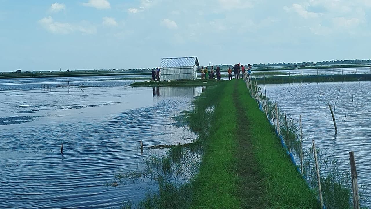 ১৭ বছর পর পৈতৃক জমির দখল ফিরে পেলেন প্রবাসী