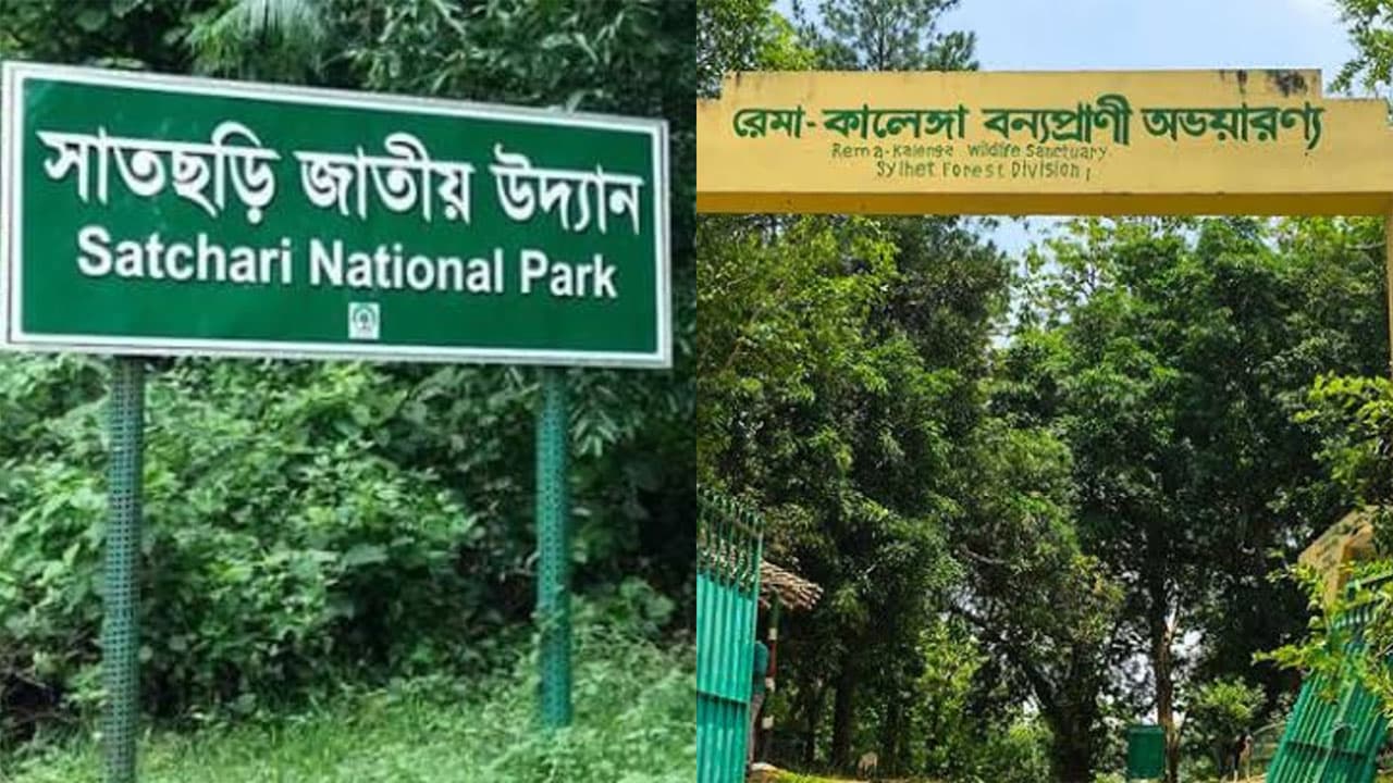 হবিগঞ্জে বনাঞ্চল থেকে গাছ চুরির দুটি মামলা, রাজনৈতিক ব্যক্তিসহ ৬২ আসামি