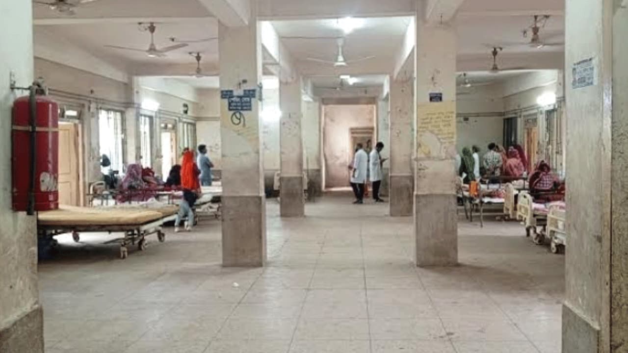 ফেনীতে দ্রুত বাড়ছে ডেঙ্গুর প্রকোপ, ১৯ দিনে আক্রান্ত ৭১