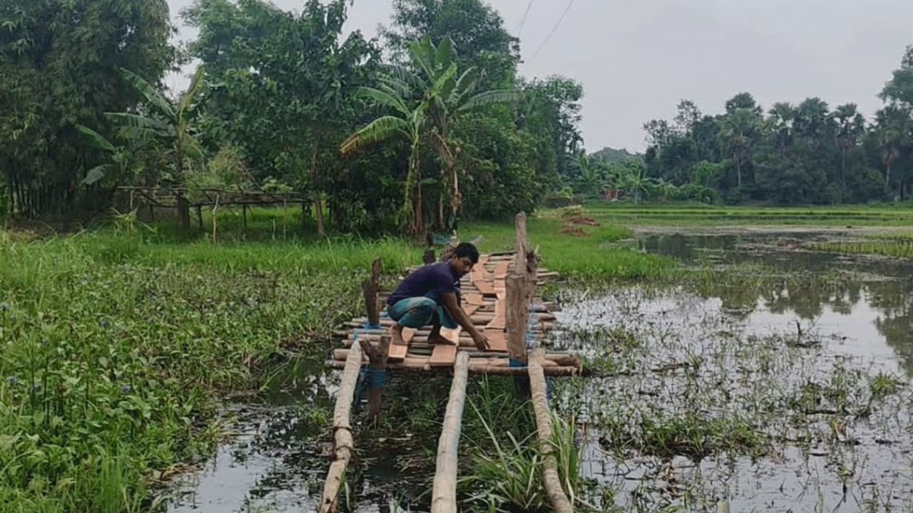 পরশুরামে বন্যায় রাস্তা তলিয়ে দুর্ভোগ, নিজস্ব প্রচেষ্টায় সাঁকো গড়ছেন যুবক