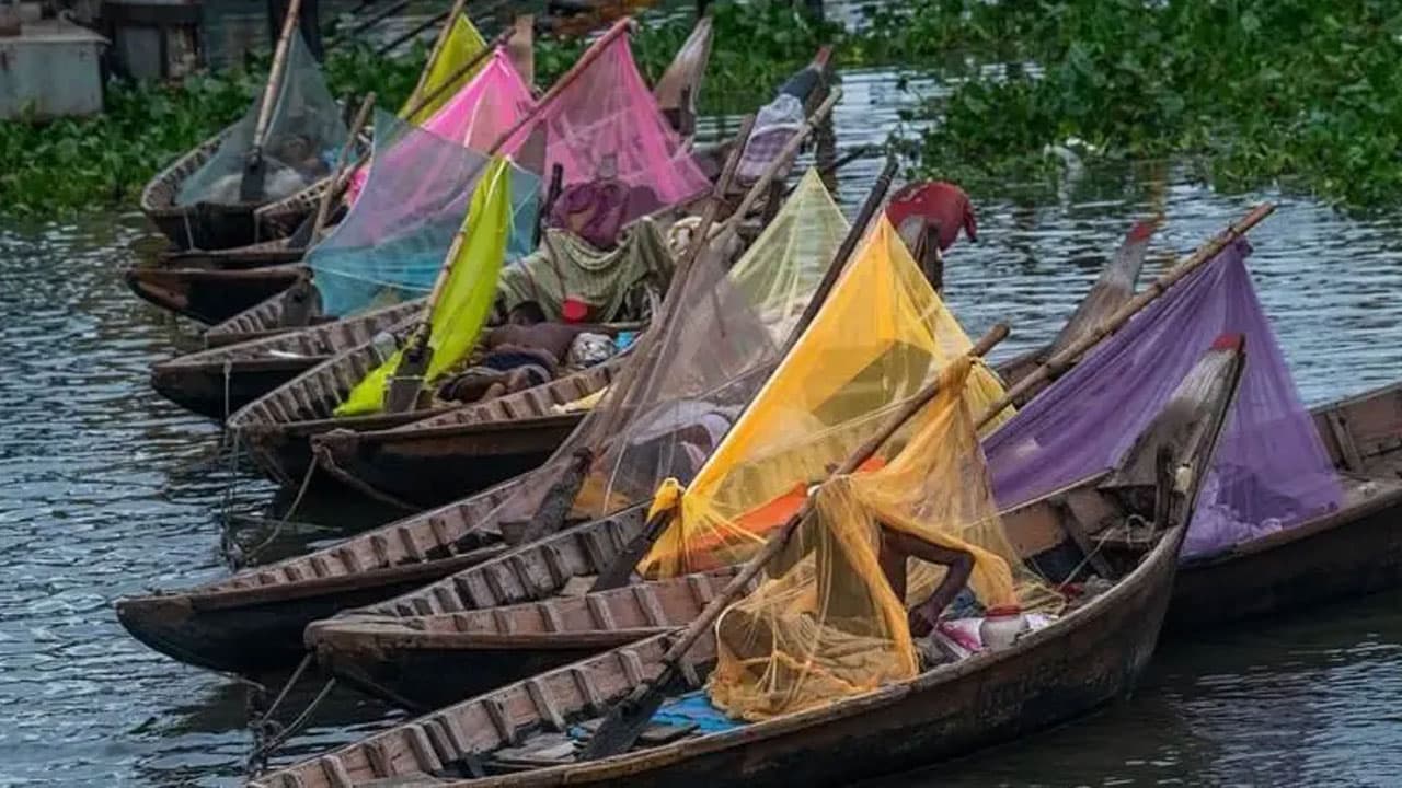 রাজধানীর বাইরেও ডেঙ্গুর প্রকোপ: হটস্পটে পরিণত হয়েছে ৫ জেলা