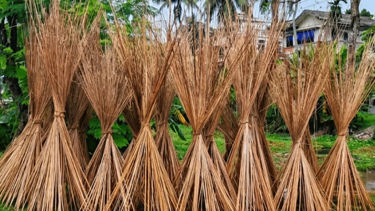 নড়াইলের গ্রামীণ অর্থনীতিতে পাটখড়ির নতুন সম্ভাবনা