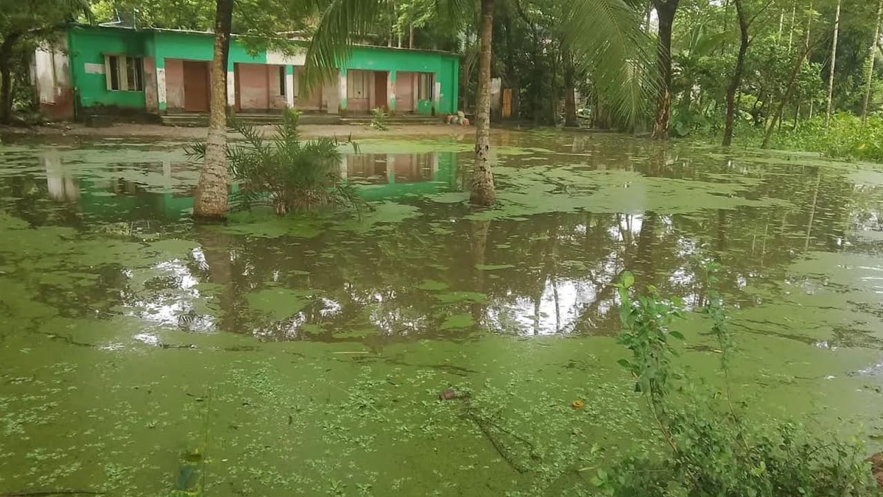 জলাবদ্ধতায় বিপর্যস্ত পশ্চিম রাজগুরু সরকারি প্রাথমিক বিদ্যালয়