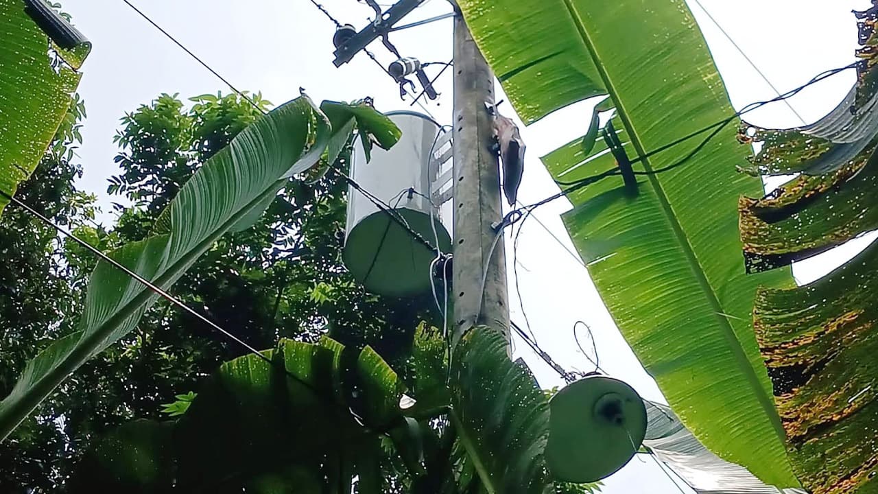 ট্রান্সফরমার চুরি করতে গিয়ে বিদ্যুৎস্পৃষ্ট, সঙ্গীদের পলায়ন