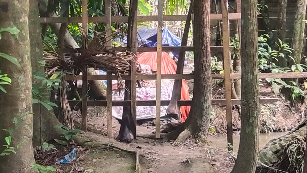 সালিশে সাক্ষী দেওয়ায় রাস্তা বন্ধ, অবরুদ্ধ ১২ পরিবার