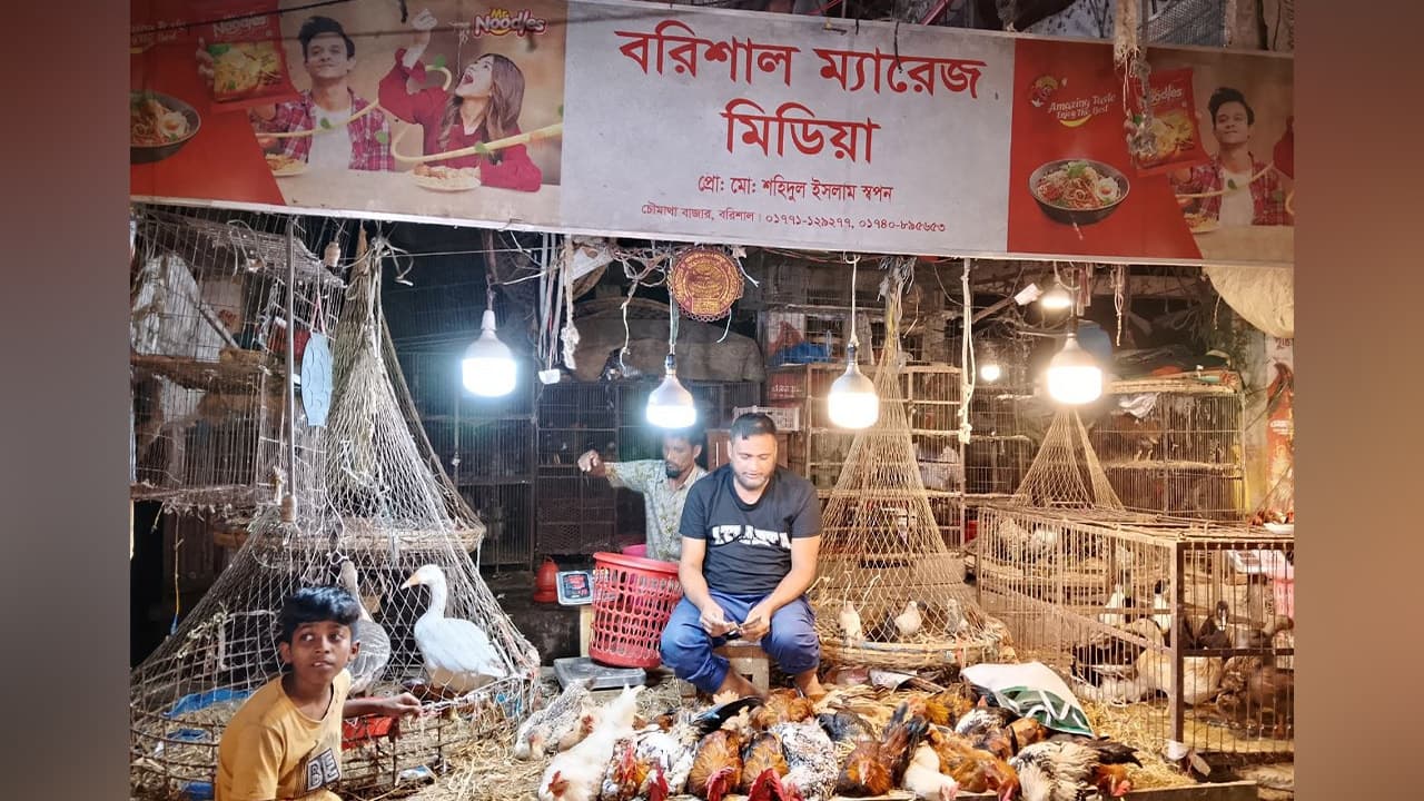 হাঁস-মুরগির দোকানে ম্যারেজ মিডিয়া: ঘটক স্বপনের ব্যতিক্রমী উদ্যোগ