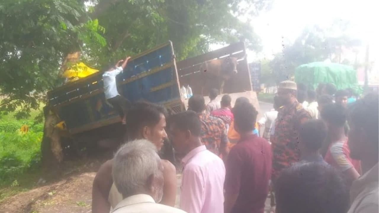 সীতাকুণ্ডে গরুবাহী ট্রাক দুর্ঘটনা, নিহত ১