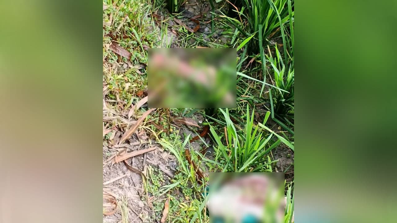 নাগেশ্বরীতে ধানক্ষেত থেকে মানুষের খণ্ডিত পা উদ্ধার