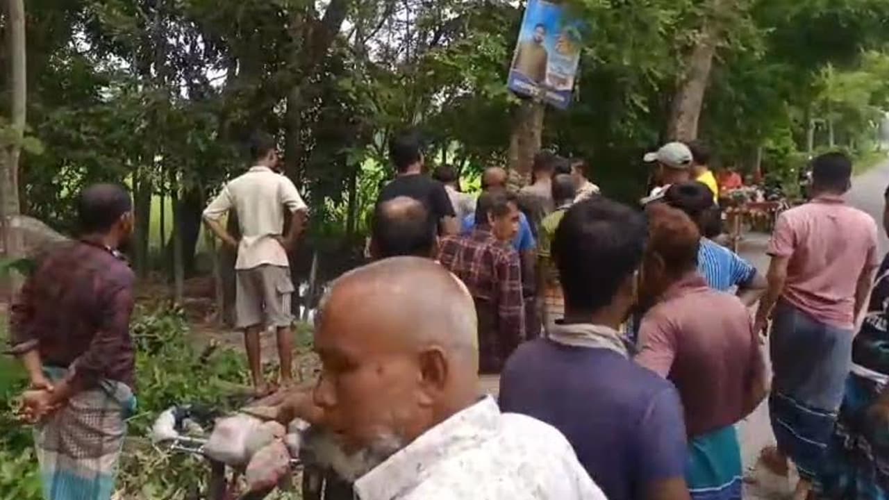 কালকিনিতে সরকারি গাছ বিক্রির অভিযোগ