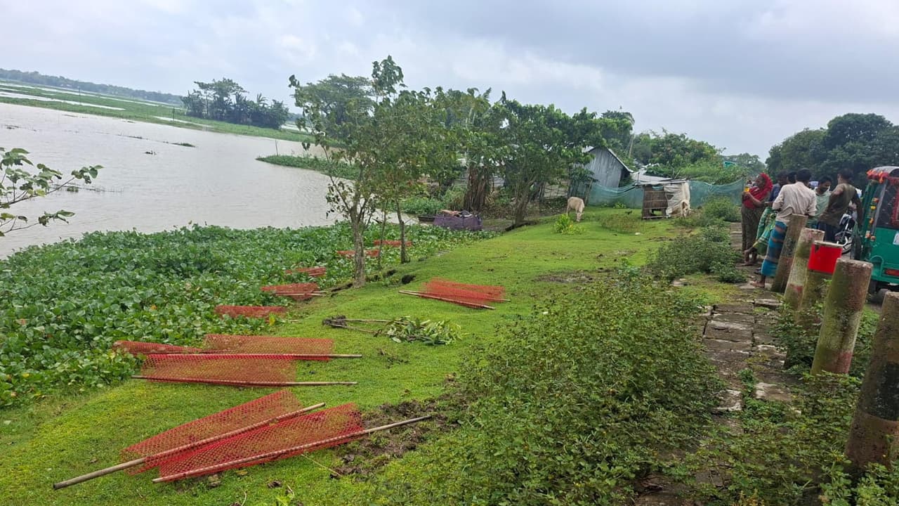নেত্রকোনায় ডেপুটি স্পিকারের উদ্যোগে লাগানো ৩৫টি চারা ধ্বংস
