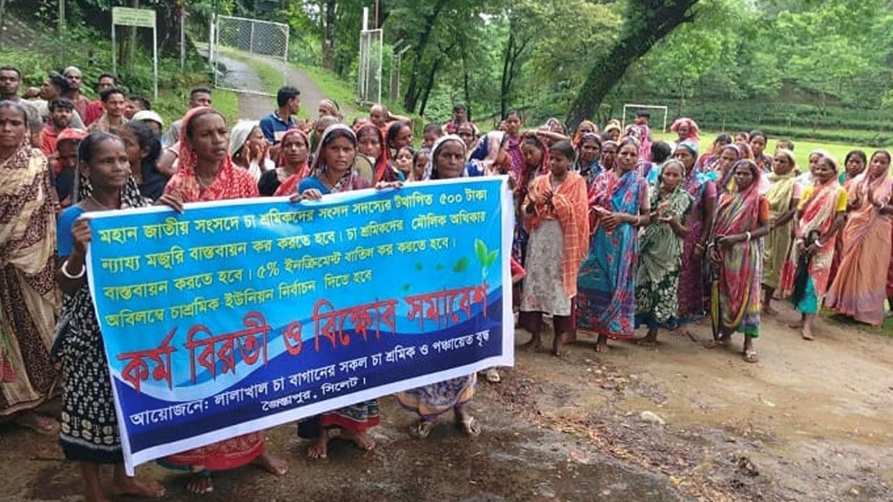 সিলেটে চা-শ্রমিকদের ২ ঘণ্টা কর্মবিরতি