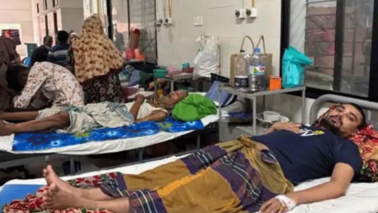 কুমিল্লায় এক দিনে ২৬ জনের ডেঙ্গু শনাক্ত
