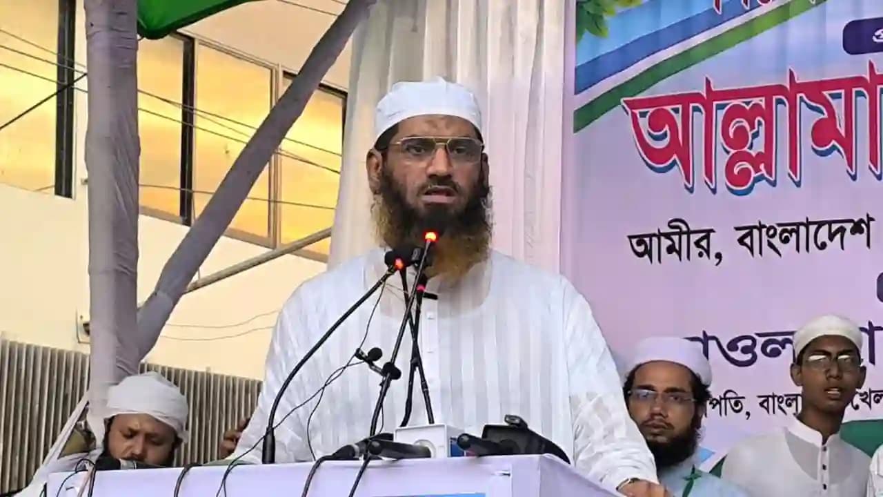 গণভোট ও সংসদ নির্বাচন বৈধতা নিয়ে মামুনুল হকের প্রশ্ন