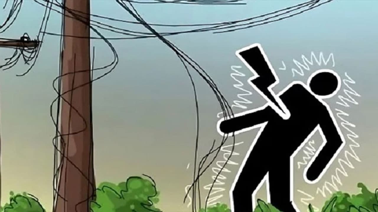 তাড়াইলে বিদ্যুৎস্পৃষ্টে যুবকের মৃত্যু