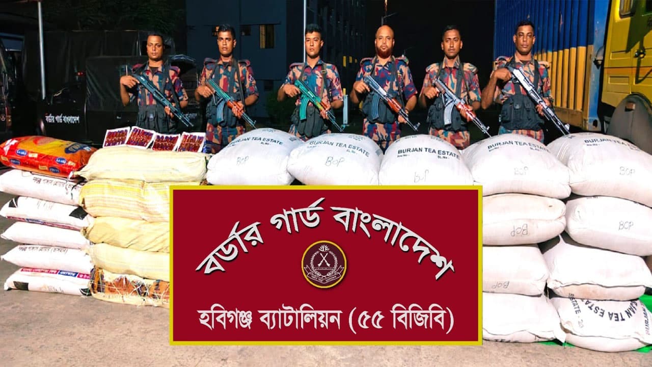 বিজিবির অভিযানে হবিগঞ্জে জব্দ ভারতীয় চা-পাতা