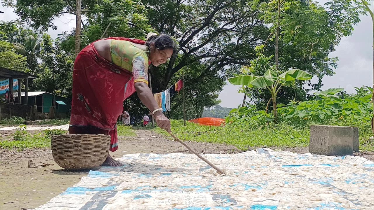 নড়াইলে মাছের আঁশ বিক্রিতে জেলেদের বাড়তি আয়