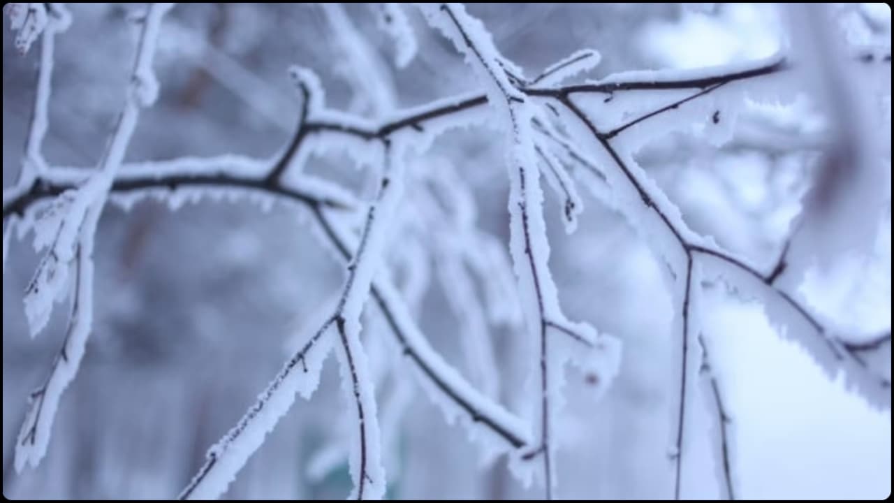 যে বছরে পৃথিবী ‘ঋতুর নিয়মই’ ভুলে গিয়েছিল