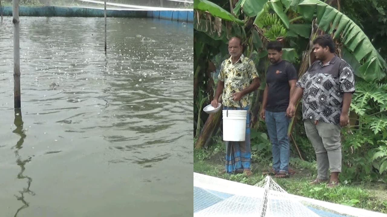 বাগেরহাটে কৈ মাছ চাষে স্বাবলম্বী চাষি বিপ্লব