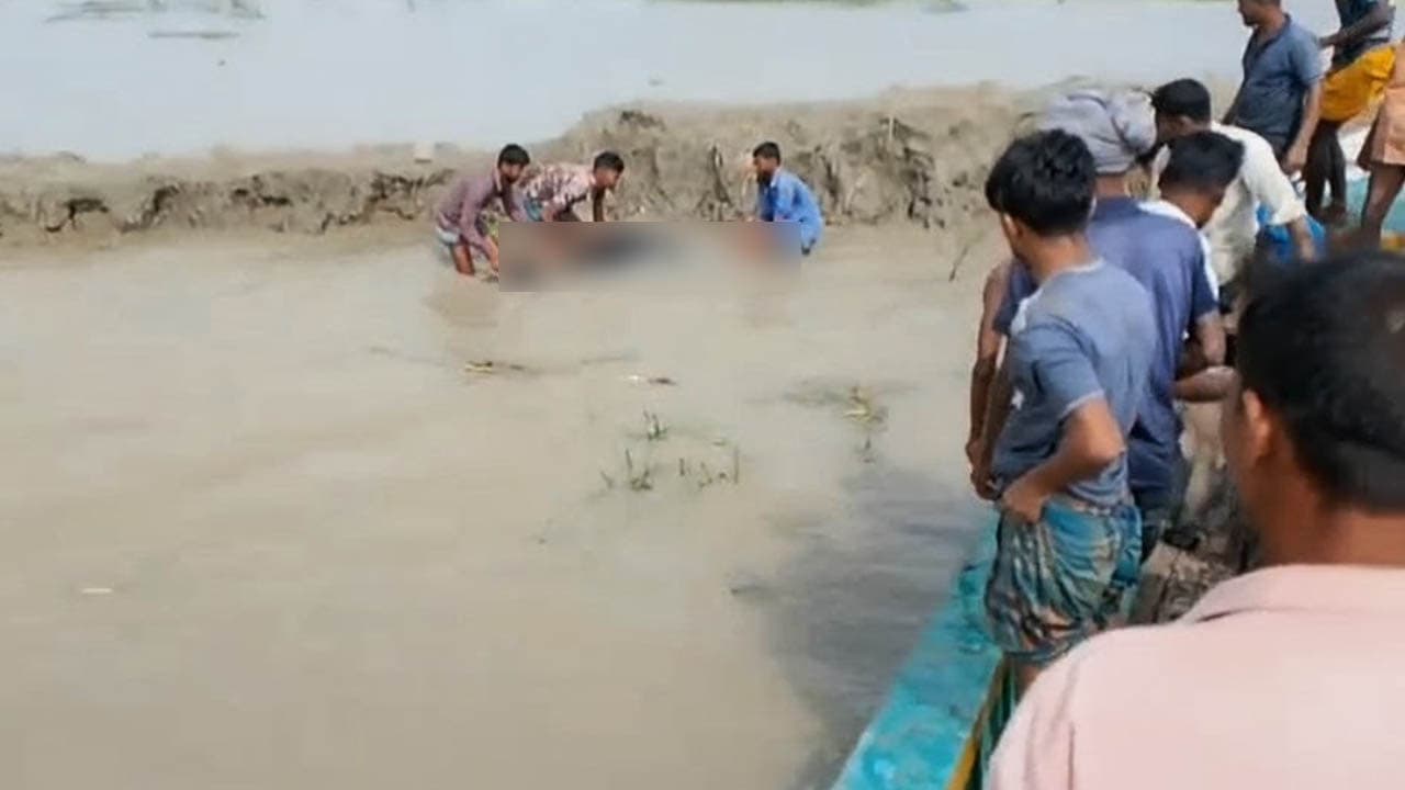 বাউফল চরে বিষপ্রয়োগে ৩ মহিষের মৃত্যু