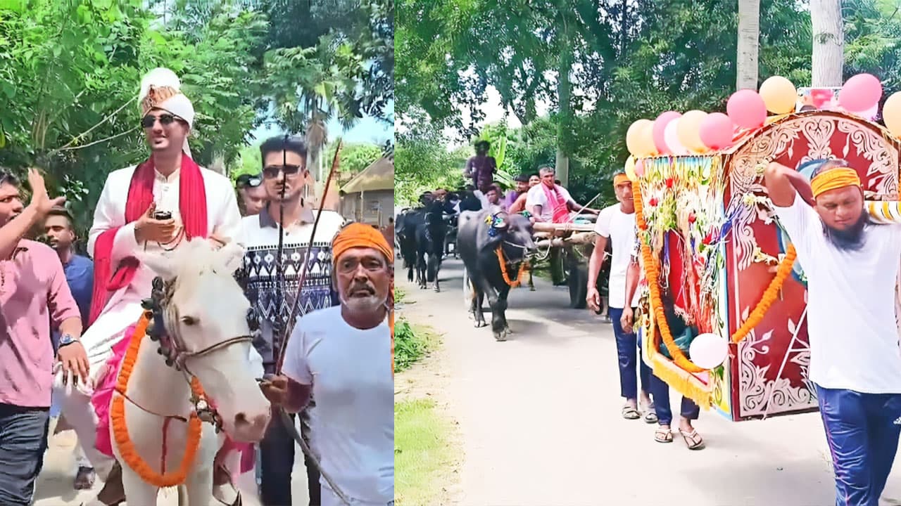 ঘোড়ায় বর, পালকিতে কনে; মাগুরায় ঐতিহ্যবাহী বিয়ে