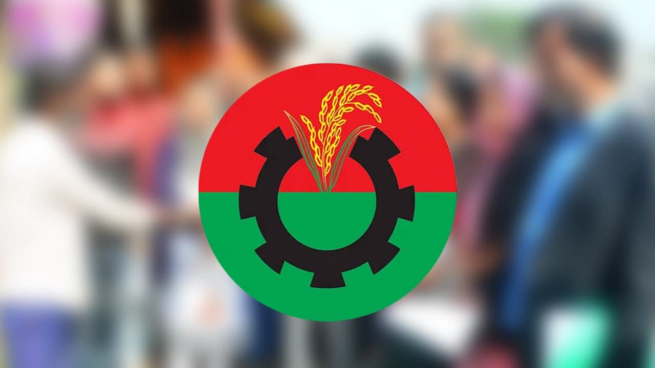 প্রায় প্রতিটি ইউপিতে একাধিক প্রার্থী, যে দুশ্চিন্তায় বিএনপি