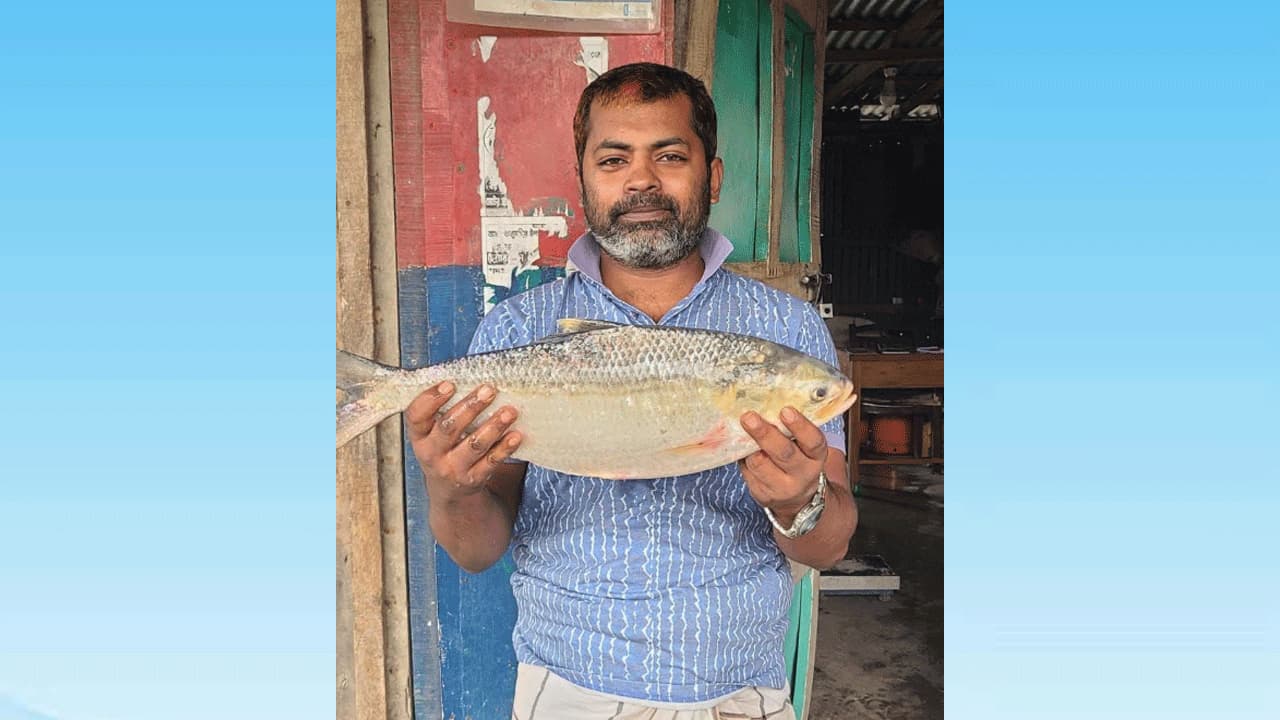 মেঘনায় ধরা পড়ল ২ কেজি ৭০০ গ্রামের ইলিশ