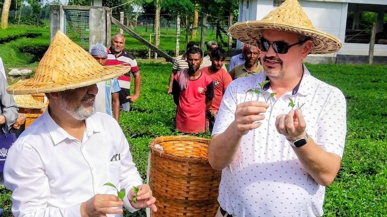 ঠাকুরগাঁওয়ে সমতল চা-বাগান পরিদর্শনে মার্কিন রাষ্ট্রদূত