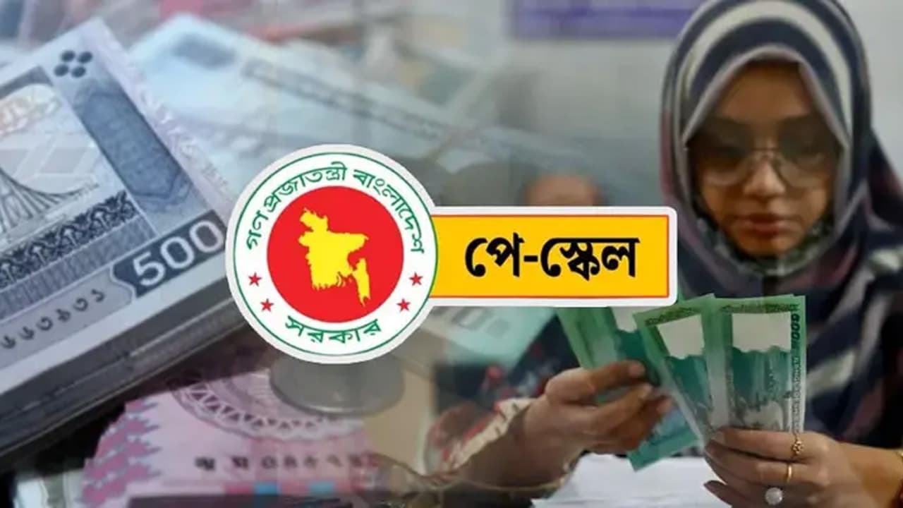 নতুন পে-স্কেলে বেতন দ্বিগুণ নয়: তথ্য উপদেষ্টা