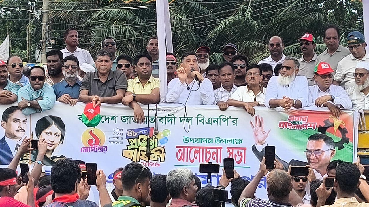 বিদ্যুৎ সংকট রাতারাতি সমাধান সম্ভব নয়: এমপি মামুন
