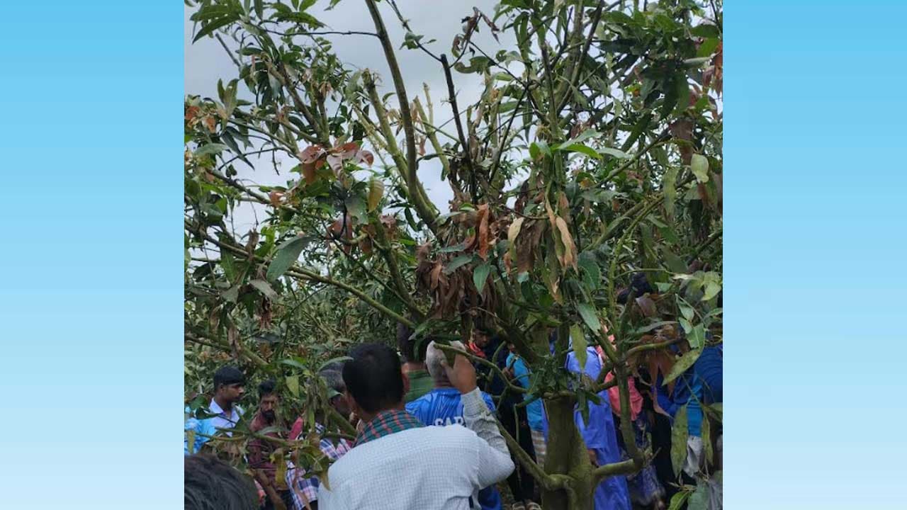 নওগাঁর সাপাহারে গ্রামপুলিশ রুবেল হকের ঝুলন্ত মরদেহ উদ্ধার