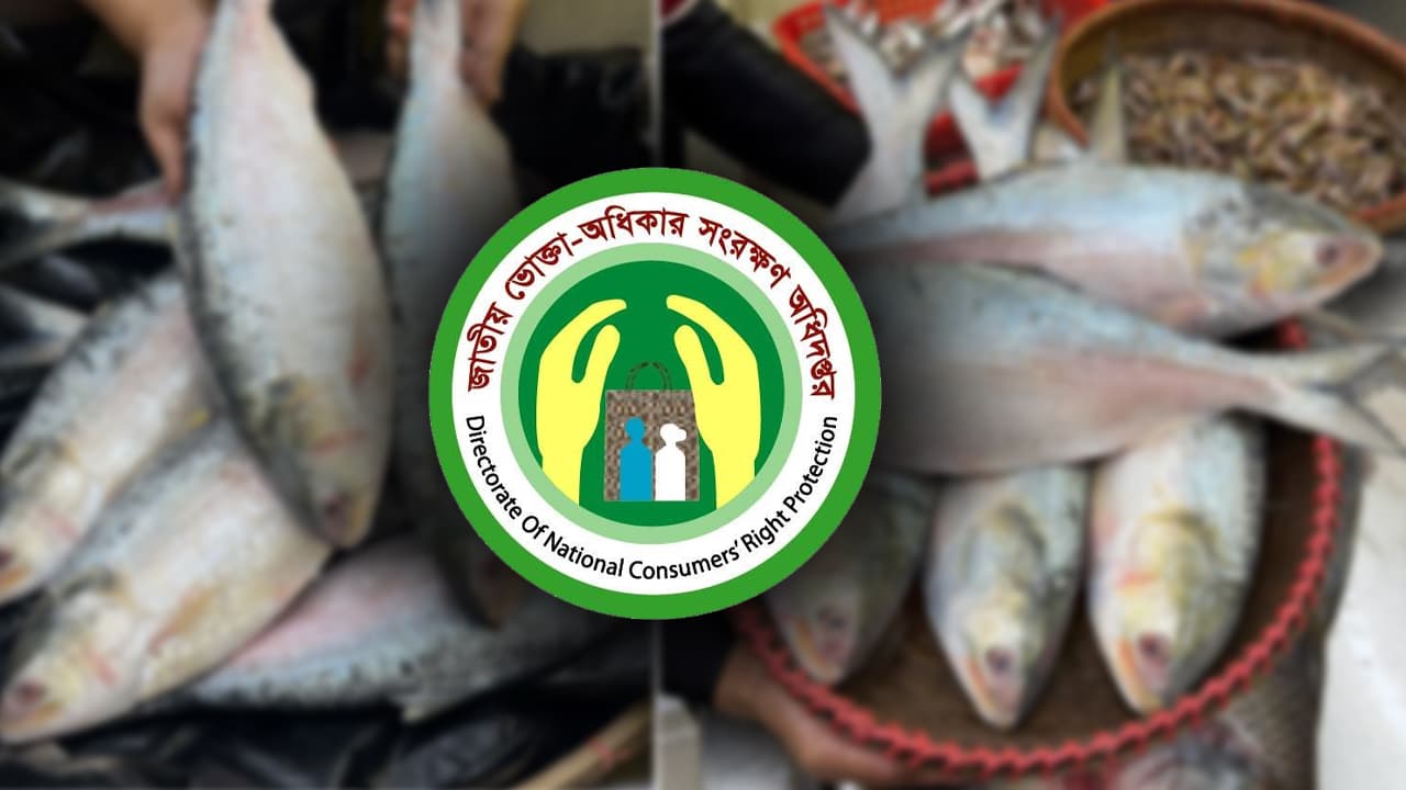অনলাইনে ইলিশ বিক্রির নামে প্রতারণা, সতর্ক থাকার আহ্বান
