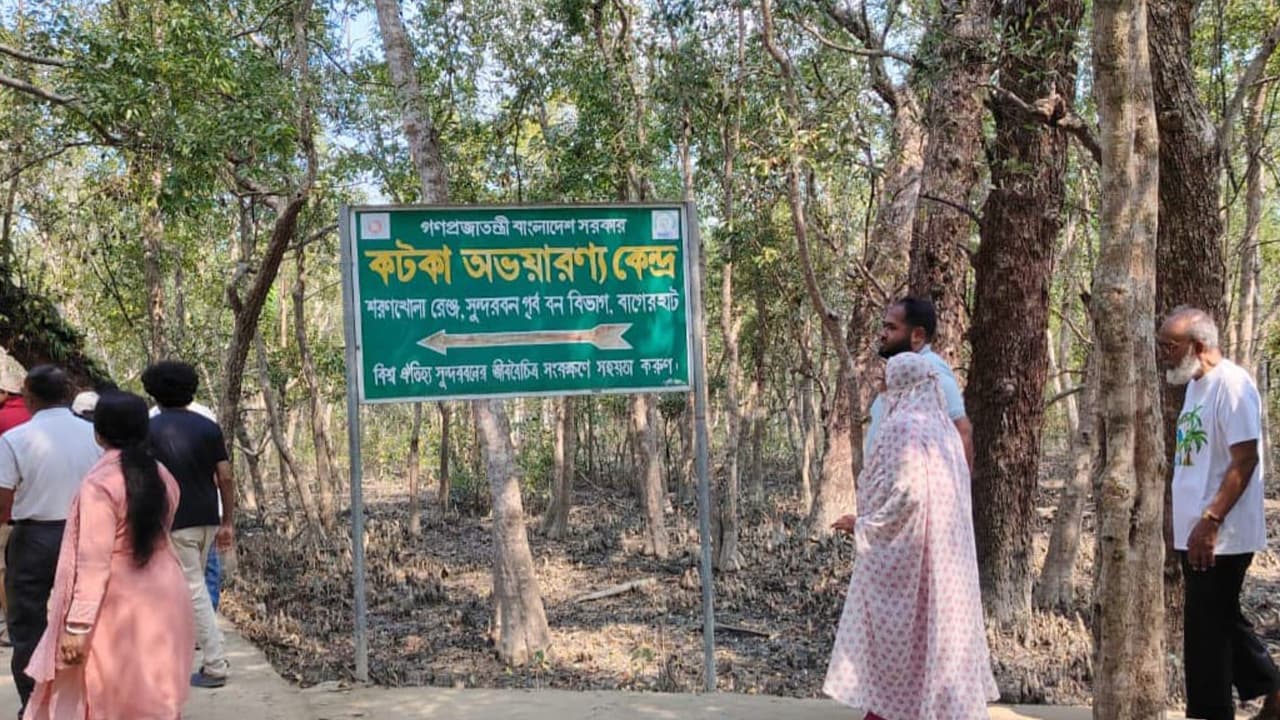 সুন্দরবনে টেলিটক নেটওয়ার্ক বিপর্যস্ত হওয়ায় যোগাযোগ ব্যাহত