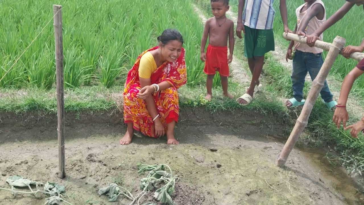 জয়পুরহাটে দুর্বৃত্তরা কৃষকের লাউক্ষেতের সব গাছ কেটে দিল