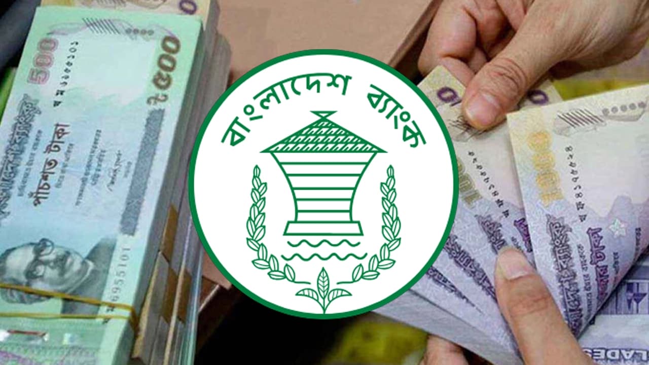 বাংলাদেশ ব্যাংক তরুণ উদ্যোক্তাদের দেয় ২০ লাখ টাকা ঋণ