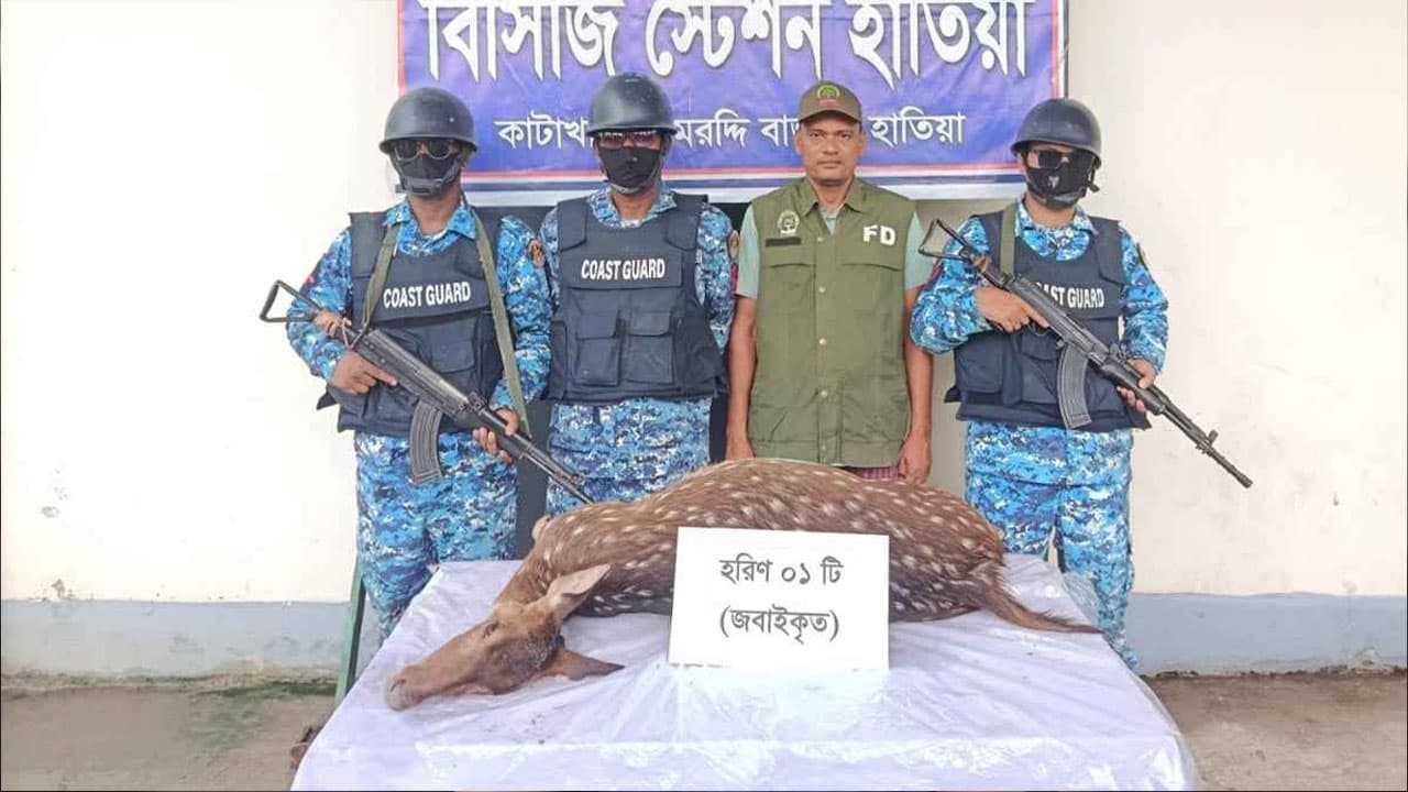 বন বিভাগ ও কোস্টগার্ড হাতিয়ায় জবাই করা হরিণ উদ্ধার করলেন