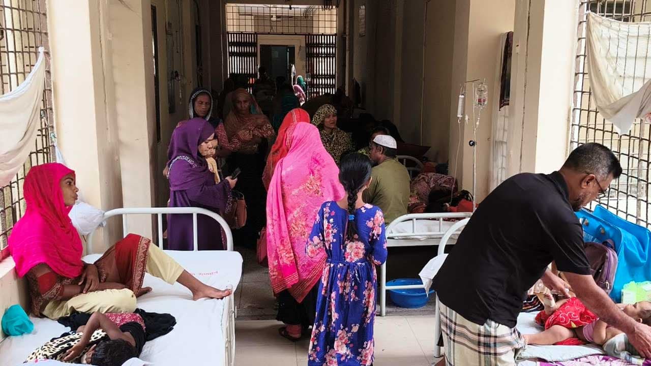 পিরোজপুরে আট মাসে ডেঙ্গু আক্রান্ত হয়েছে ১৮৫৯ জন