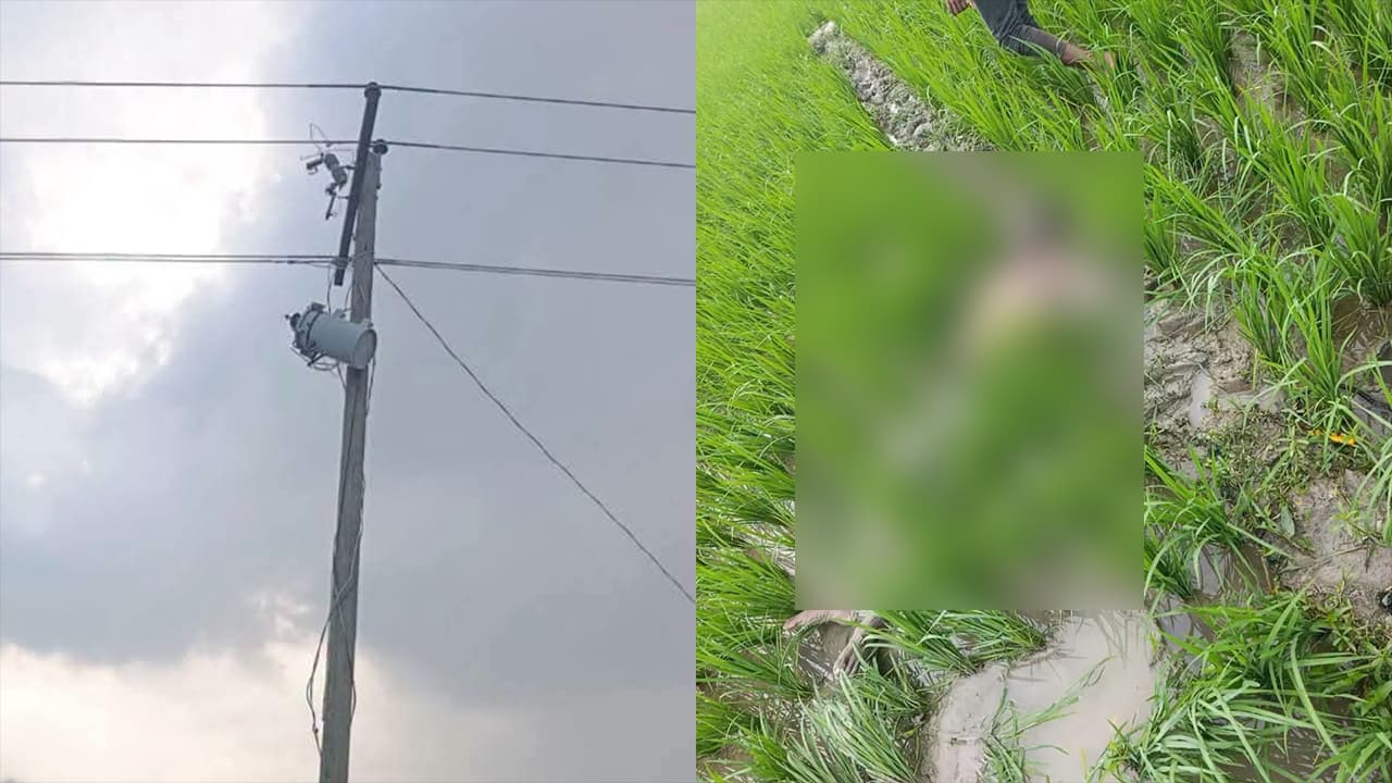 ট্রান্সফরমার চুরির চেষ্টায় বিদ্যুৎস্পৃষ্টে যুবকের মৃত্যু হয়েছে