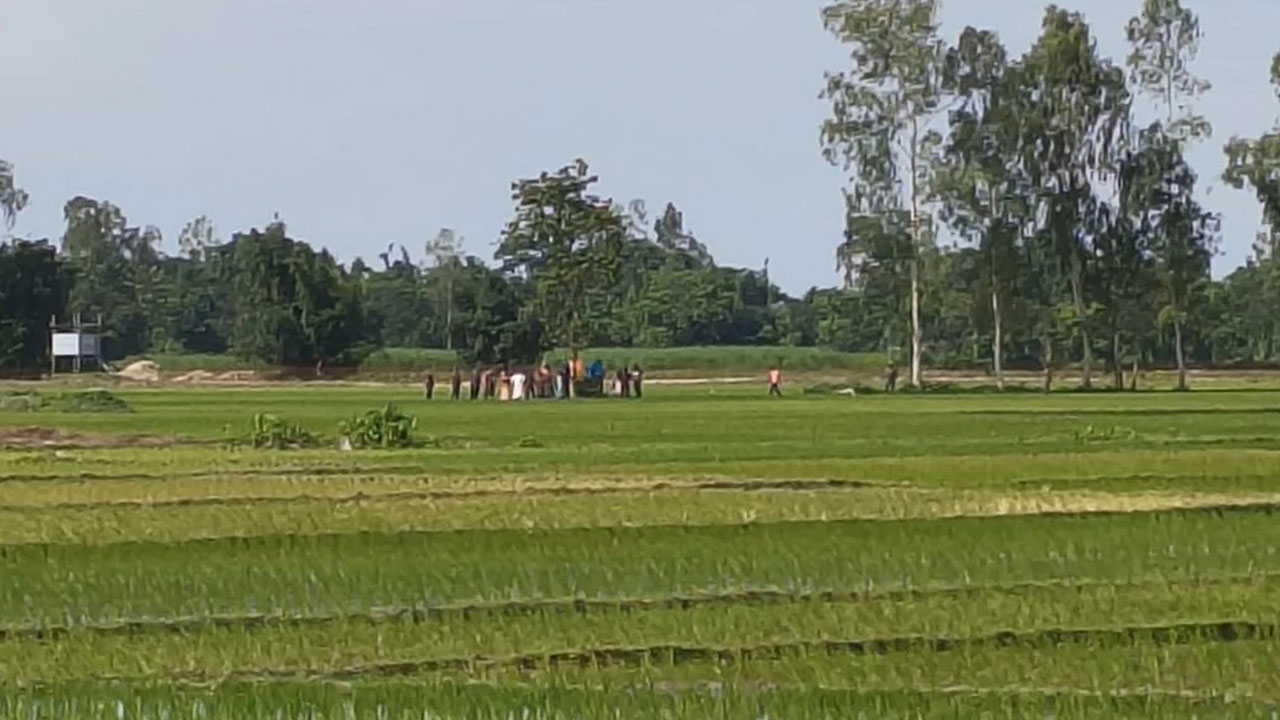 গরু বিক্রি করতে অবৈধ অনুপ্রবেশ, তিন ভারতীয়কে ফেরত পাঠাল বিজিবি
