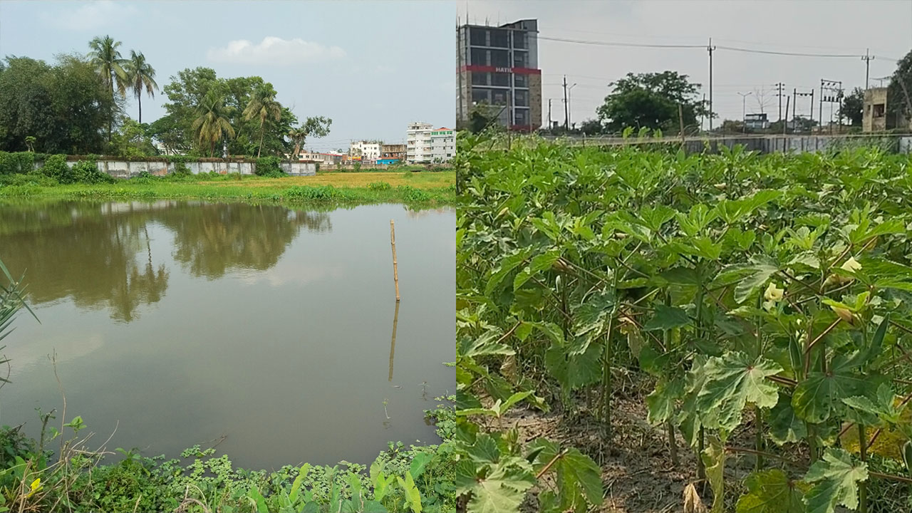 ময়মনসিংহ তিতাস কার্যালয়ে সরকারি জমিতে ব্যক্তিগত চাষাবাদ ও নথি