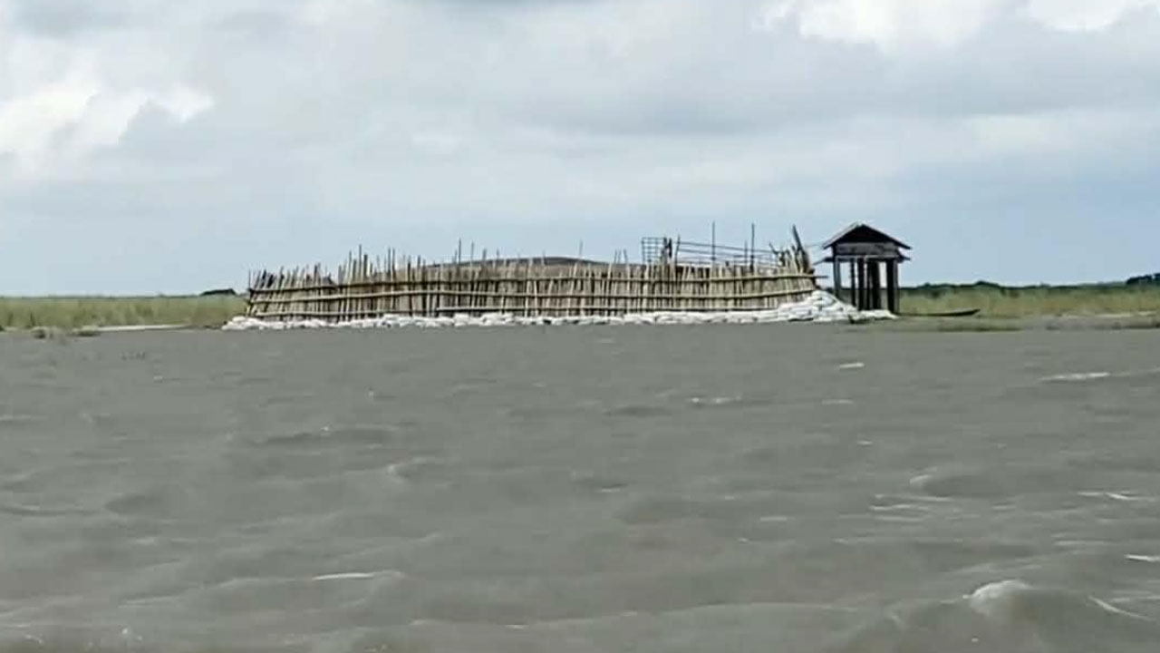 লক্ষ্মীপুরে মেঘনার চরে গরু-মহিষ চুরির সিন্ডিকেটের তৎপরতা