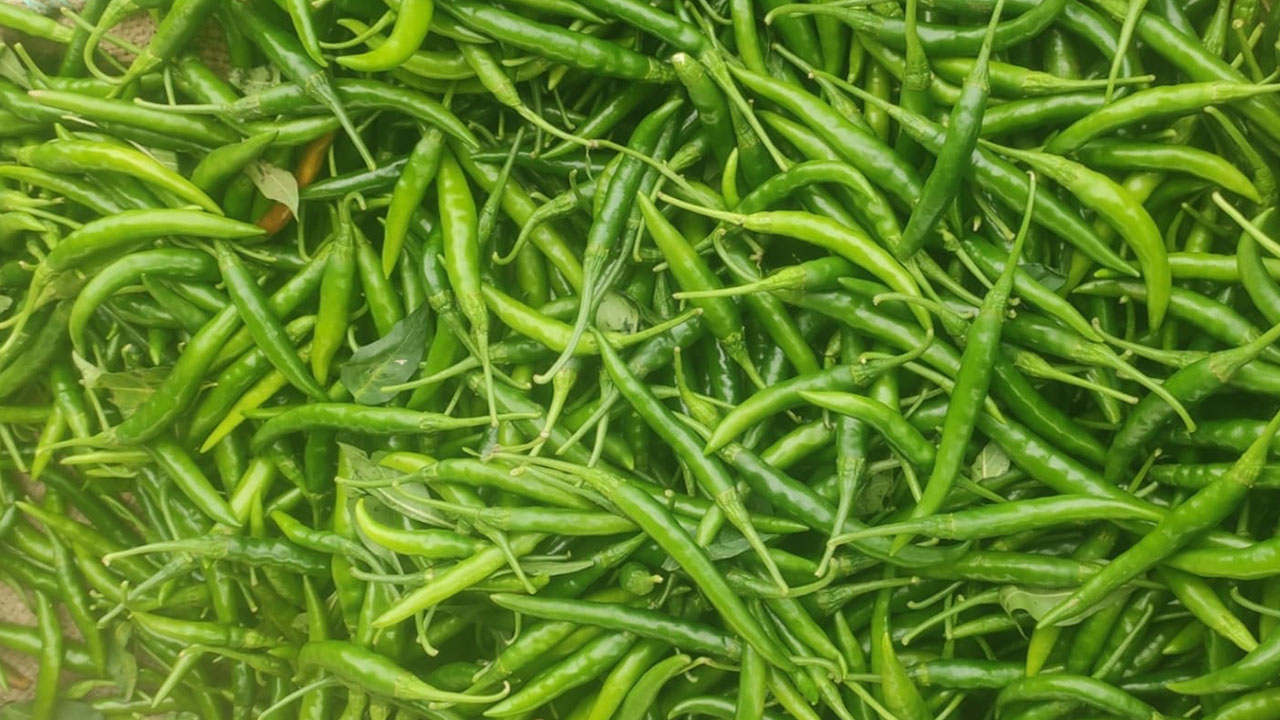 ৯ মাস পর ভারত থেকে কাঁচামরিচ আমদানি শুরু