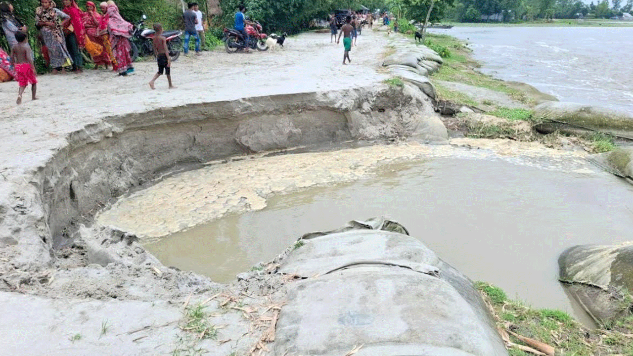 নীলফামারীতে তিস্তার প্রধান বাঁধে নতুন করে ভাঙন, ঝুঁকিতে জনবসতি